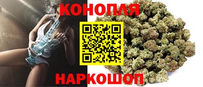 МДПВ Рыбинск