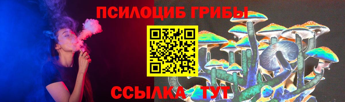 Псилоцибиновые грибы Psilocybe Рязань
